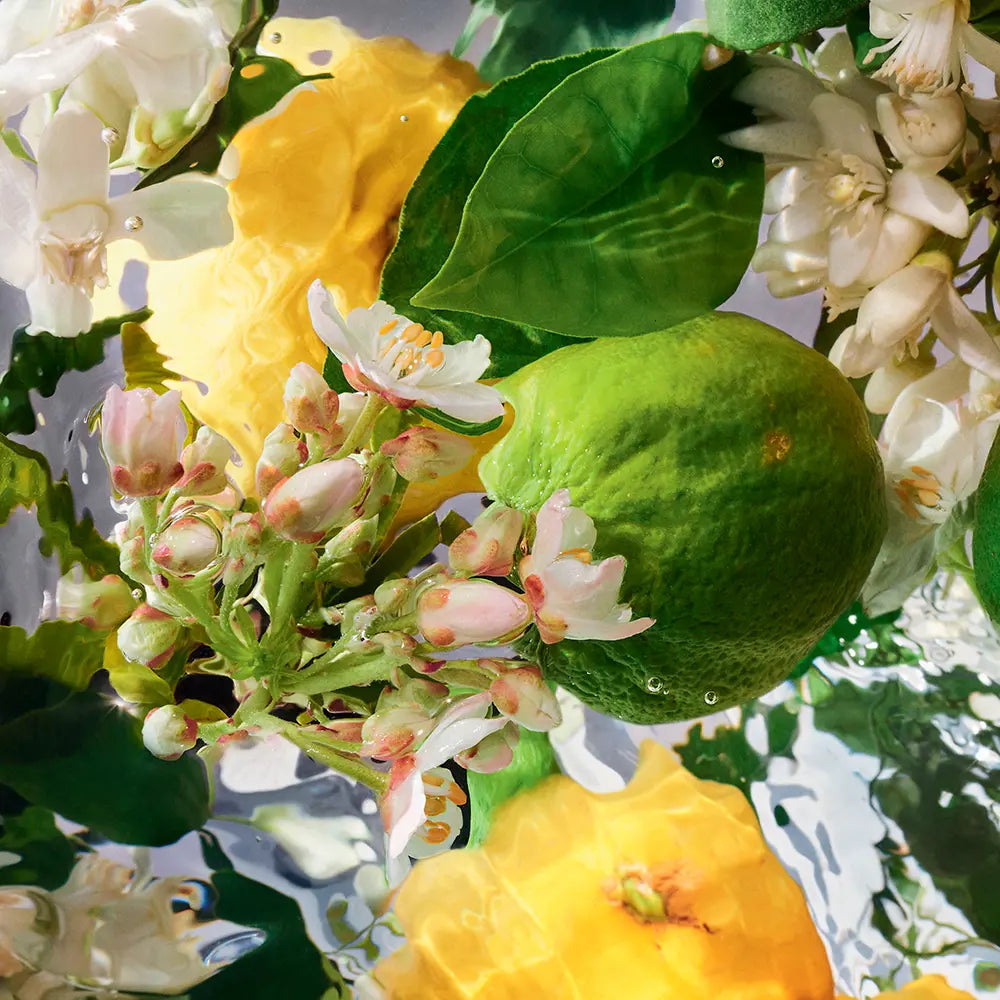 Guerlain Aqua Allegoria Bergamot Calabria Eau de Toilette